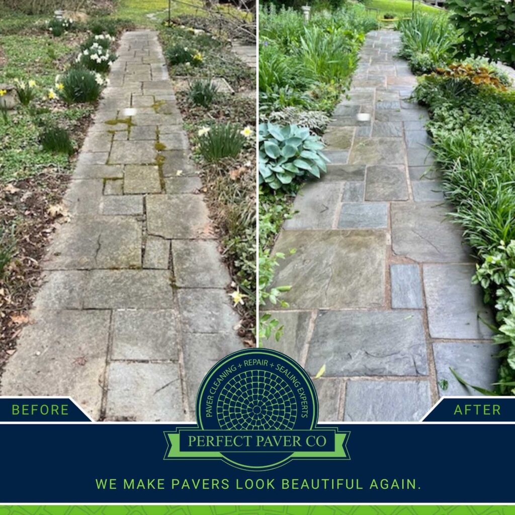 ppc-gallery-_0000s_0014_Greg MacMillan + Pavers + Seal + Repair + Weeds + Ohio2