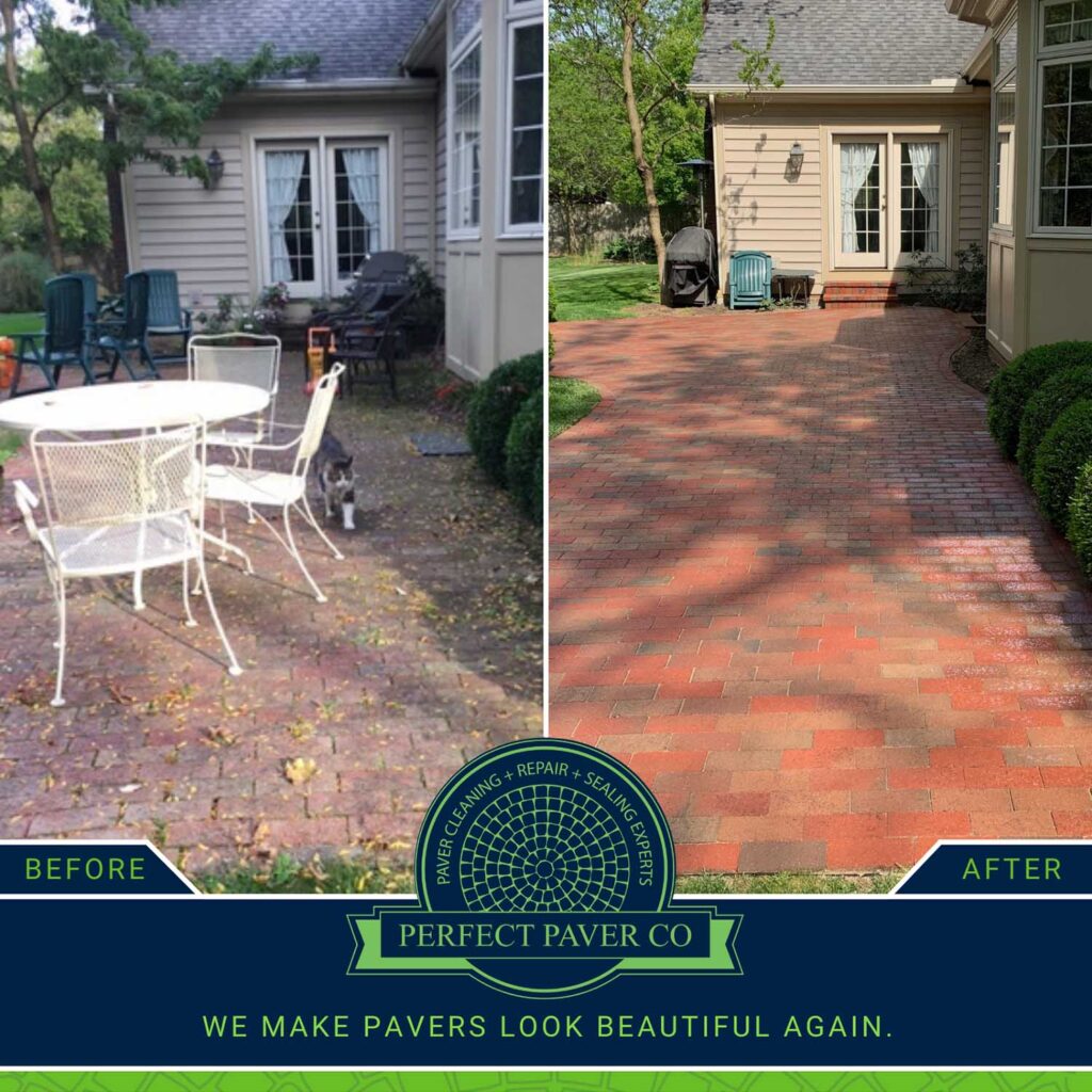 ppc-gallery-_0000s_0020_Bob Masheter + Clay Brick + Seal + Weeds + Ohio